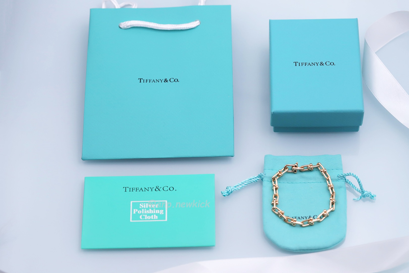 Tiffany Hardwear Sterling Silver Large Buckle Bracelet (3) - www.newkick.org
